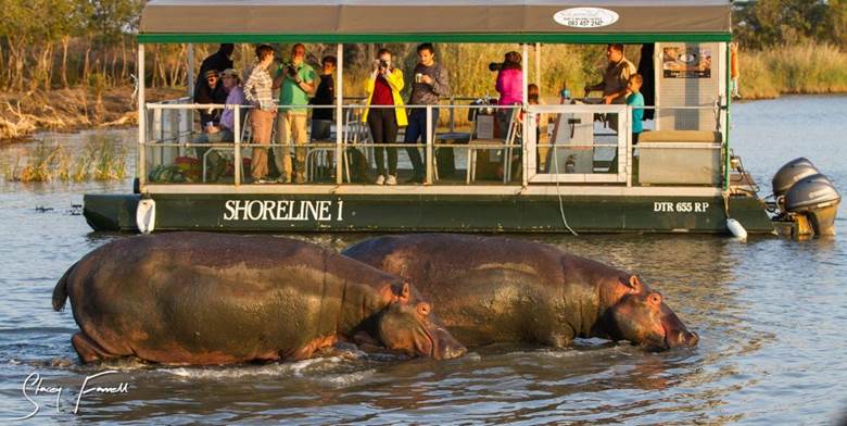 Largest Population of Hippos in South Africa has to be St ...
