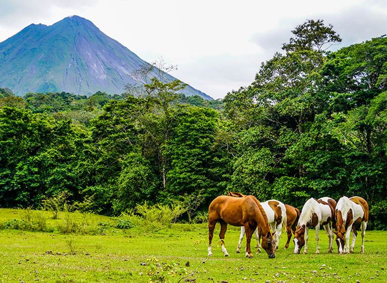 https://arenalparaisoresort.com/wp-content/uploads/2023/10/Excelentes-vistas-desde-el-Hotel-Arenal-Paraiso.jpg