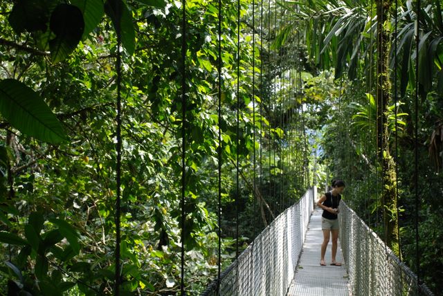 http://www.arenal.net/tour/hanging-bridges/images/dsc_0072.jpg