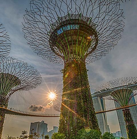 gardens by the bay singapore 3840x2160